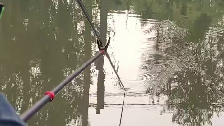 把粉丝喊来钓鱼我自己不钓在这指挥提竿。各种连杆双飞