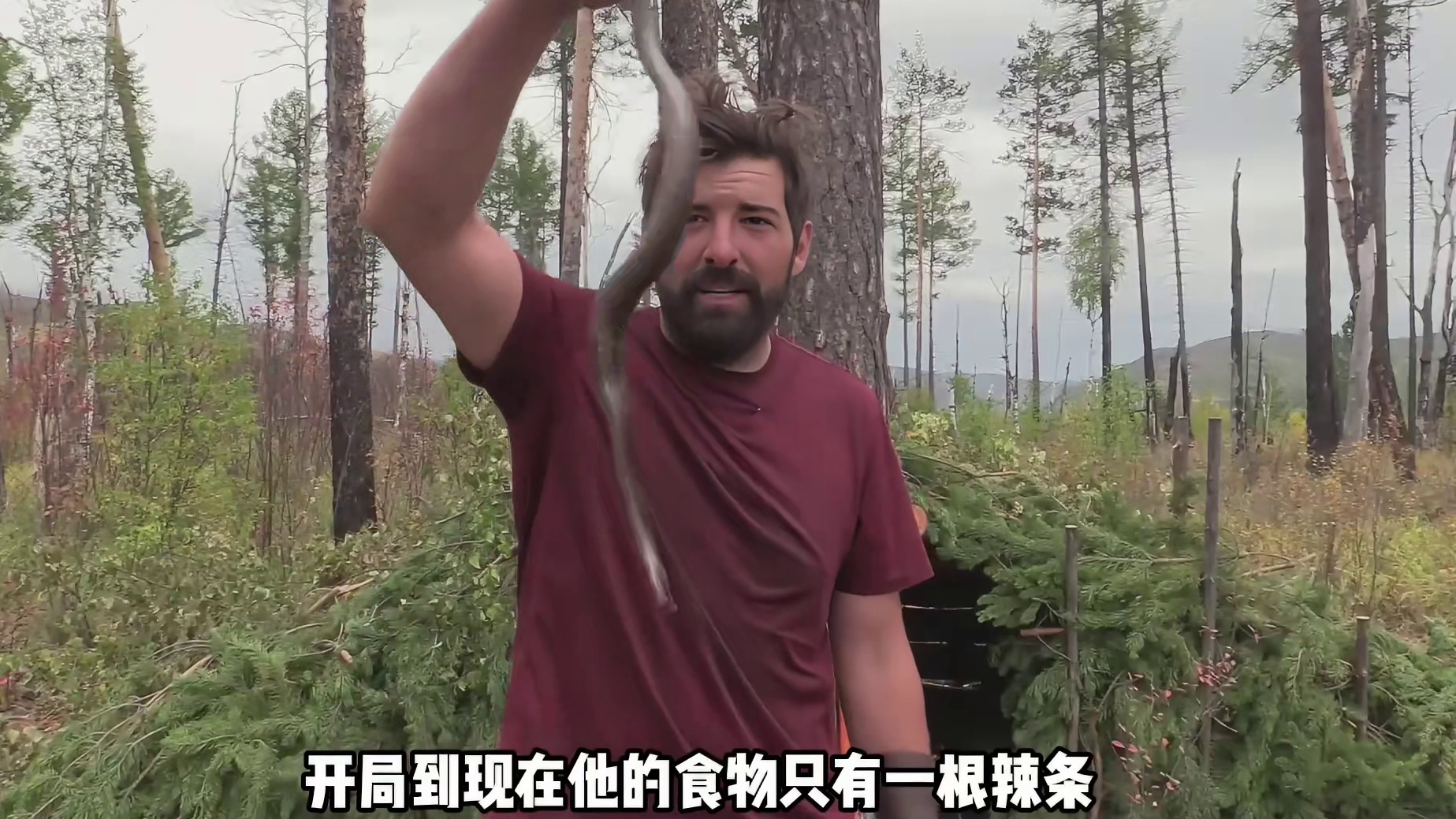 大佬用蚂蚱当诱饵钓鱼，上鱼的速度实在是太快了  (1)