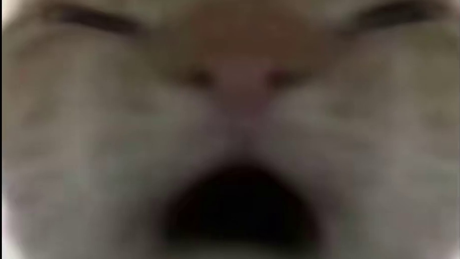 兄弟，带着我一直猛攻好吗？