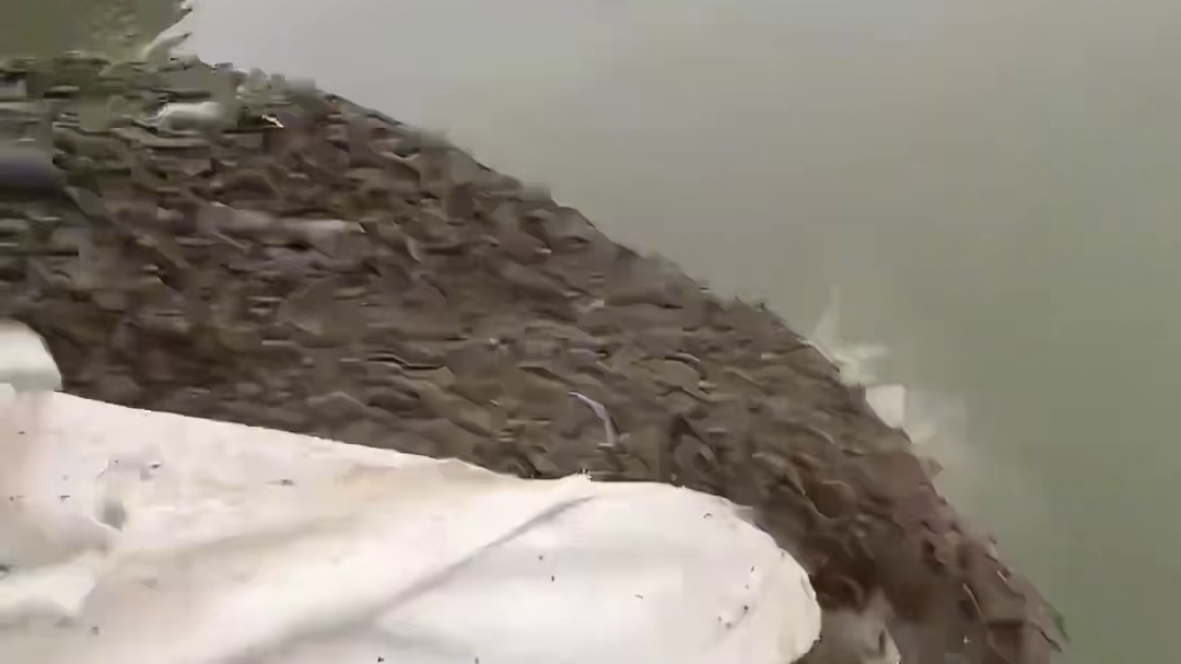 打窝子这么豪横