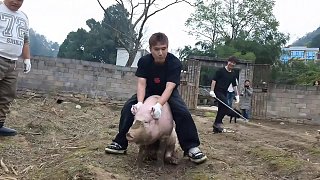 11.23 小小小酷哥-組織直播名場面