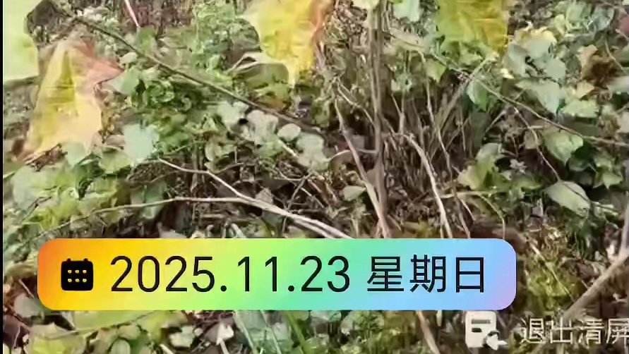 七星山荒野求生决赛场地曝光