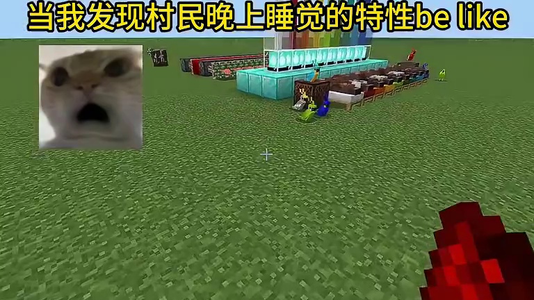 我的世界：当我发现村民晚上睡觉的特性be like