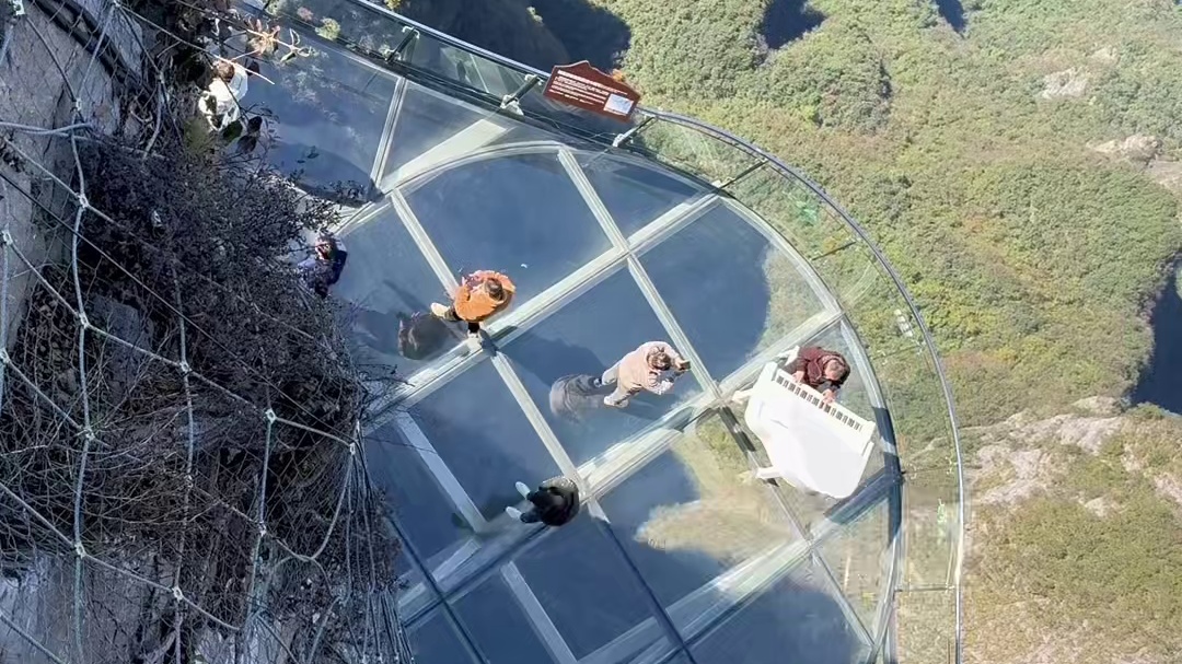 老中医被罚，粉丝们各说各话