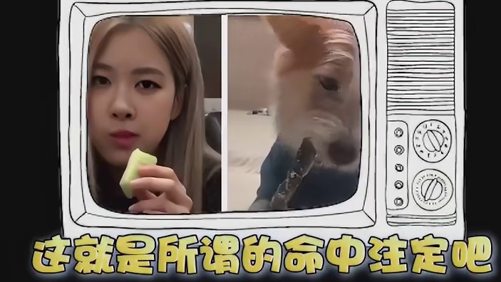 这就是所谓天造地设的一对吧！我简直要爱疯了！