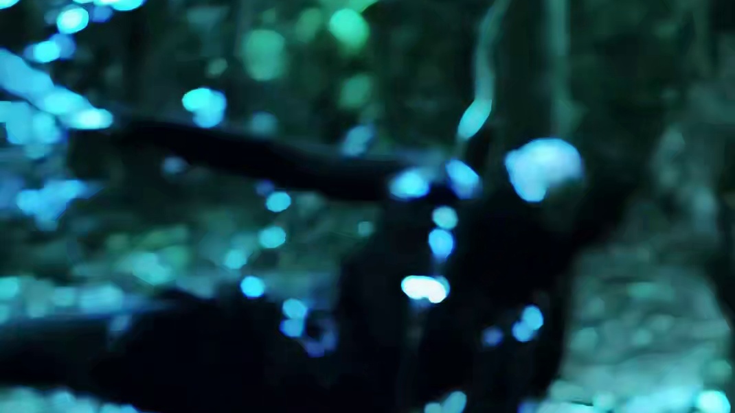 嘿疯刀疯刀嘿蚂蚱蚂蚱嘿