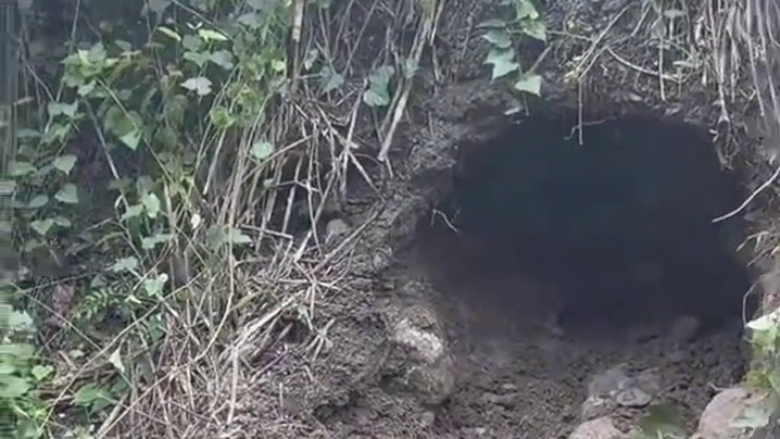 林北的水帘洞被员外吐槽了