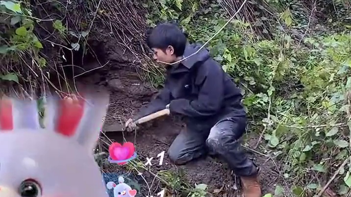 林北挖坑，他还不知道有人说他偷东西吧，偷猕猴桃哈哈哈哈