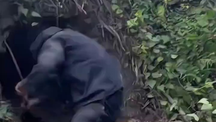 总决赛第一天，林北两个小时左右就挖了一个很深的洞，小伙子体力好啊！