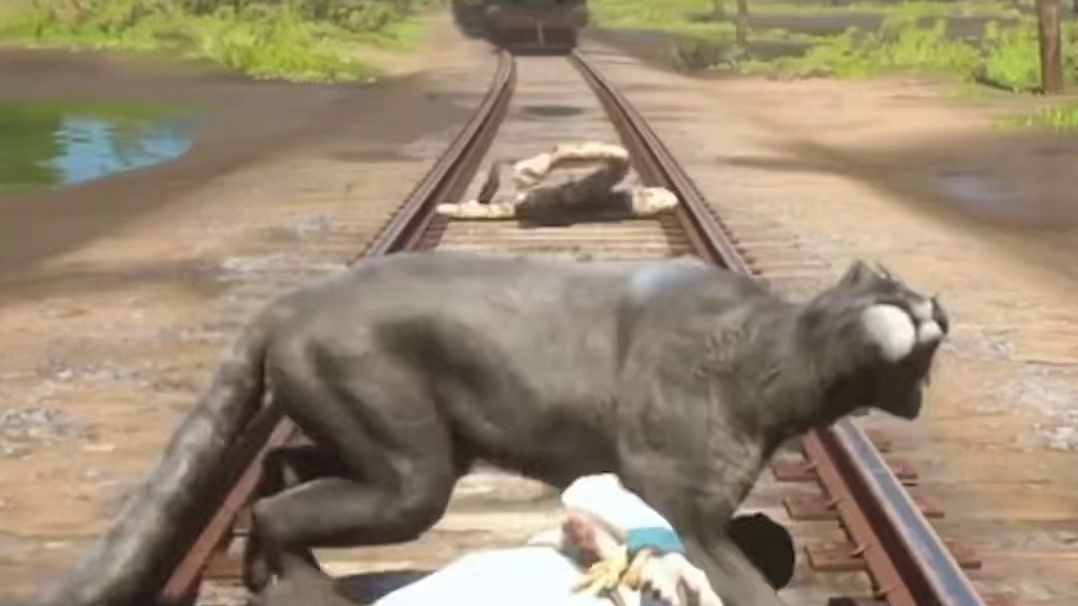 毒蛇咬死豹子，火车撞上去