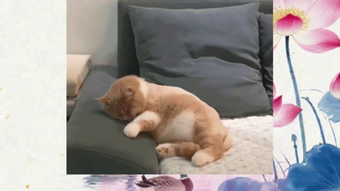 各大租号平台对比分析