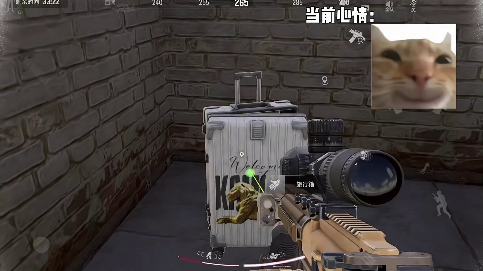 随机提问：这把出了多少个小金？