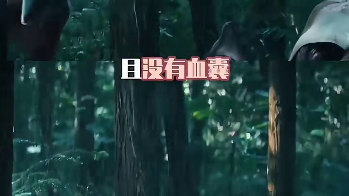 用蚂蚱的视角打开枭起青壤