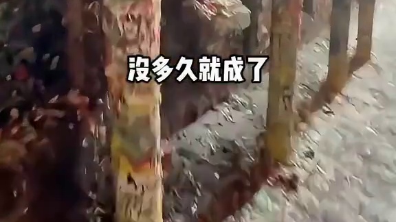 一块沾满了上百万块别人嚼过的口香糖墙，堪称最恶心景点