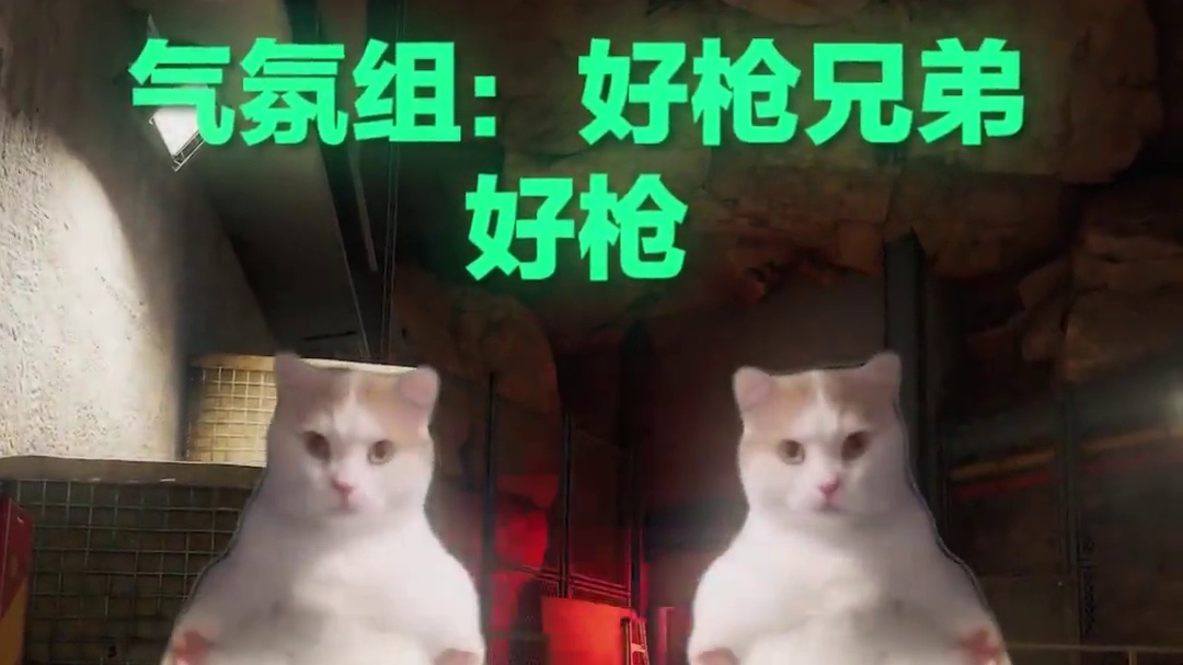 看看你的固排队友是哪种类型？