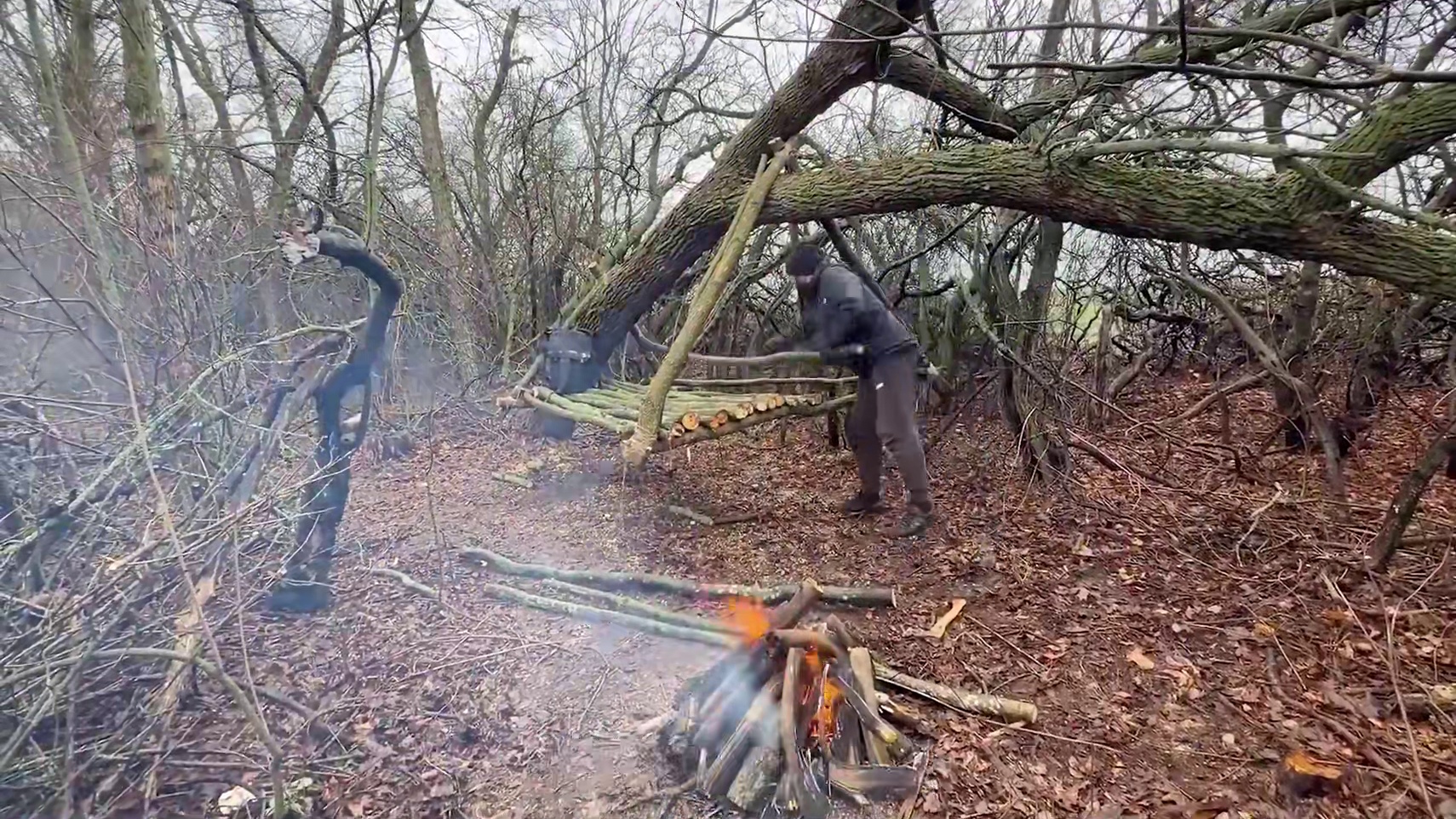 利用大树也能打造这么简单的庇护所