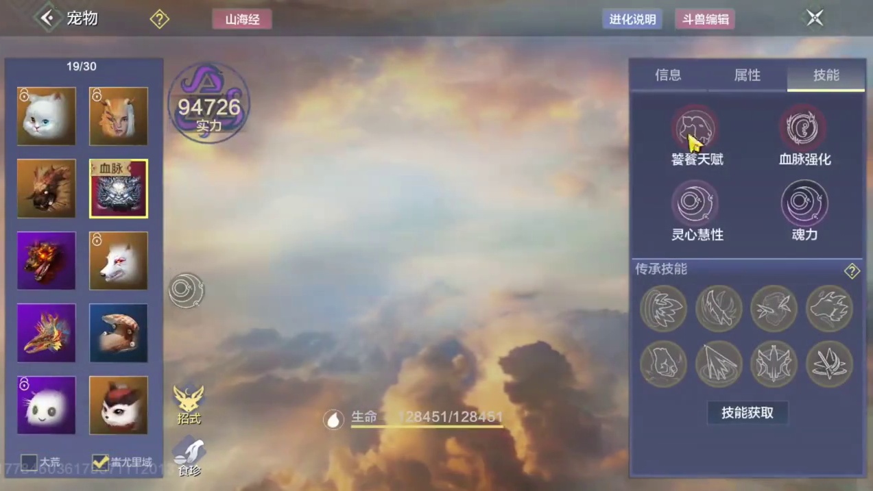 5神兽 双甲兔子 加成兵魂不错 主玩大荒伤加 1情绪