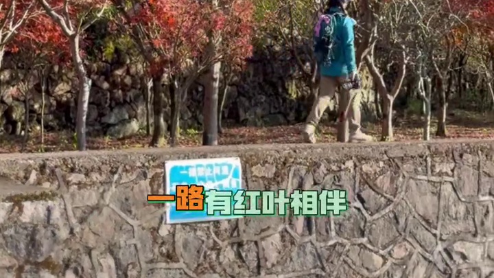 据说浙东秋色徒步天花板路线 东西岙徐凫岩 一条见山见水见彩虹，一路秋色做伴的路线 自然风光多元：一