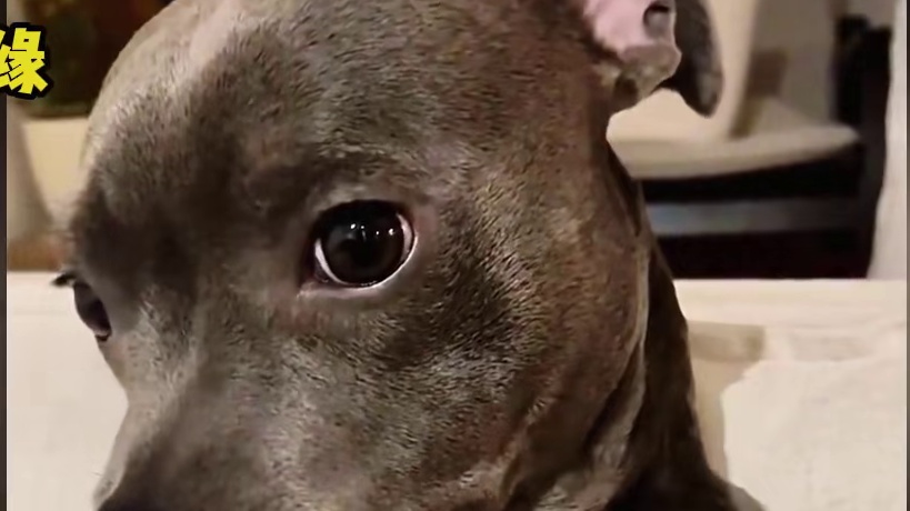 我们不讲钱，讲缘！