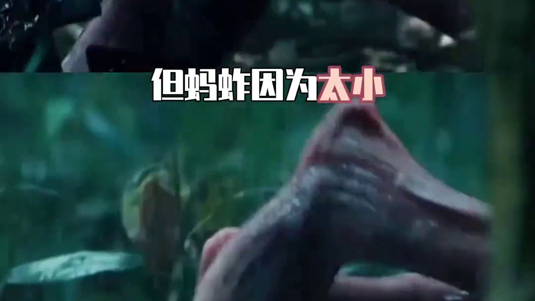 用蚂蚱的视角打开枭起青壤