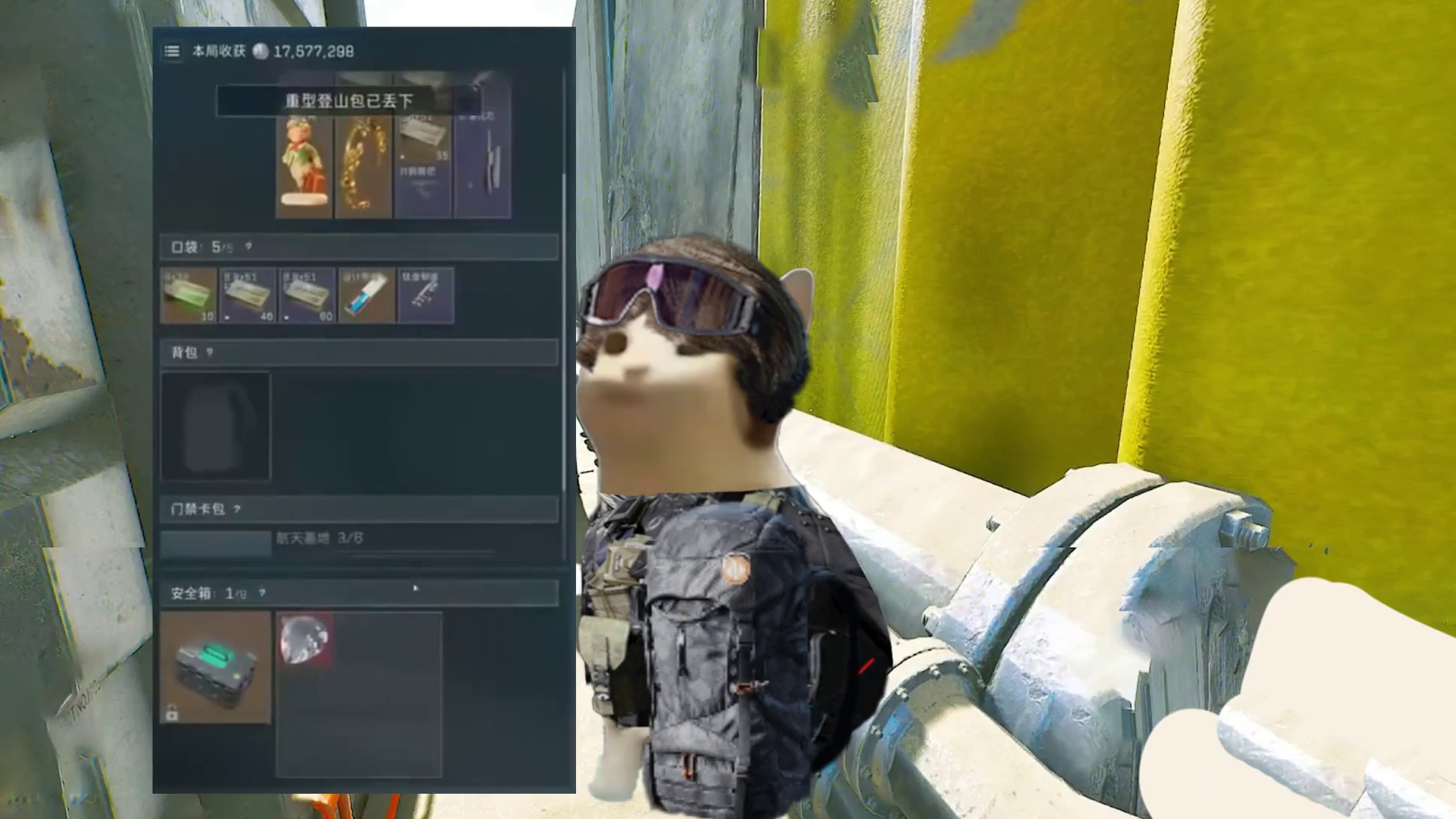 粥板板人均的IQ