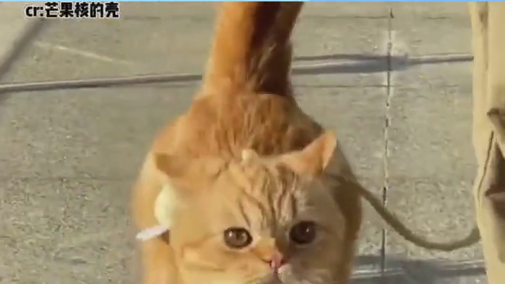 宝宝，你是一只松软的小面包