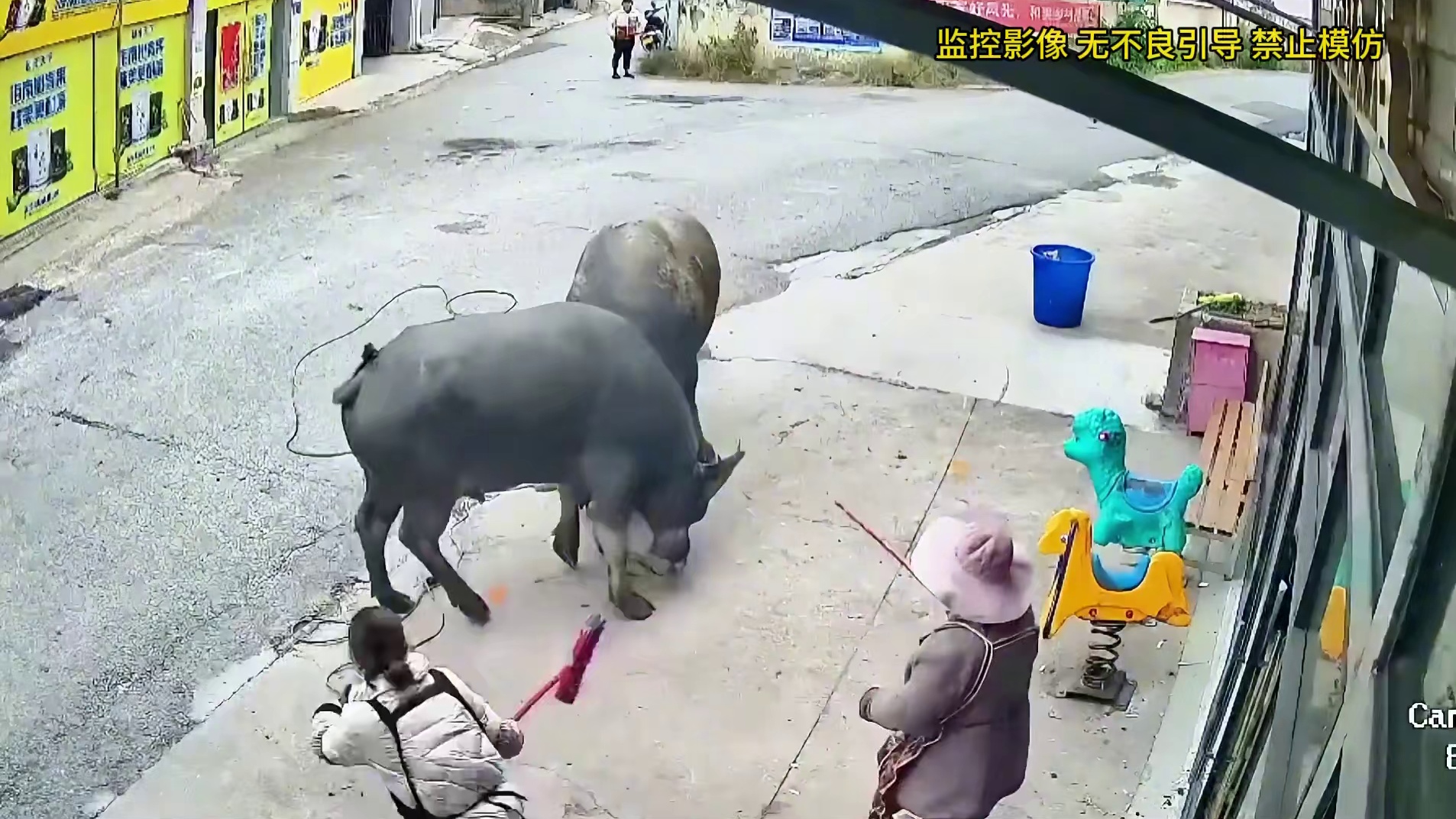 老牛发狂当街干架，十多人无法拉开