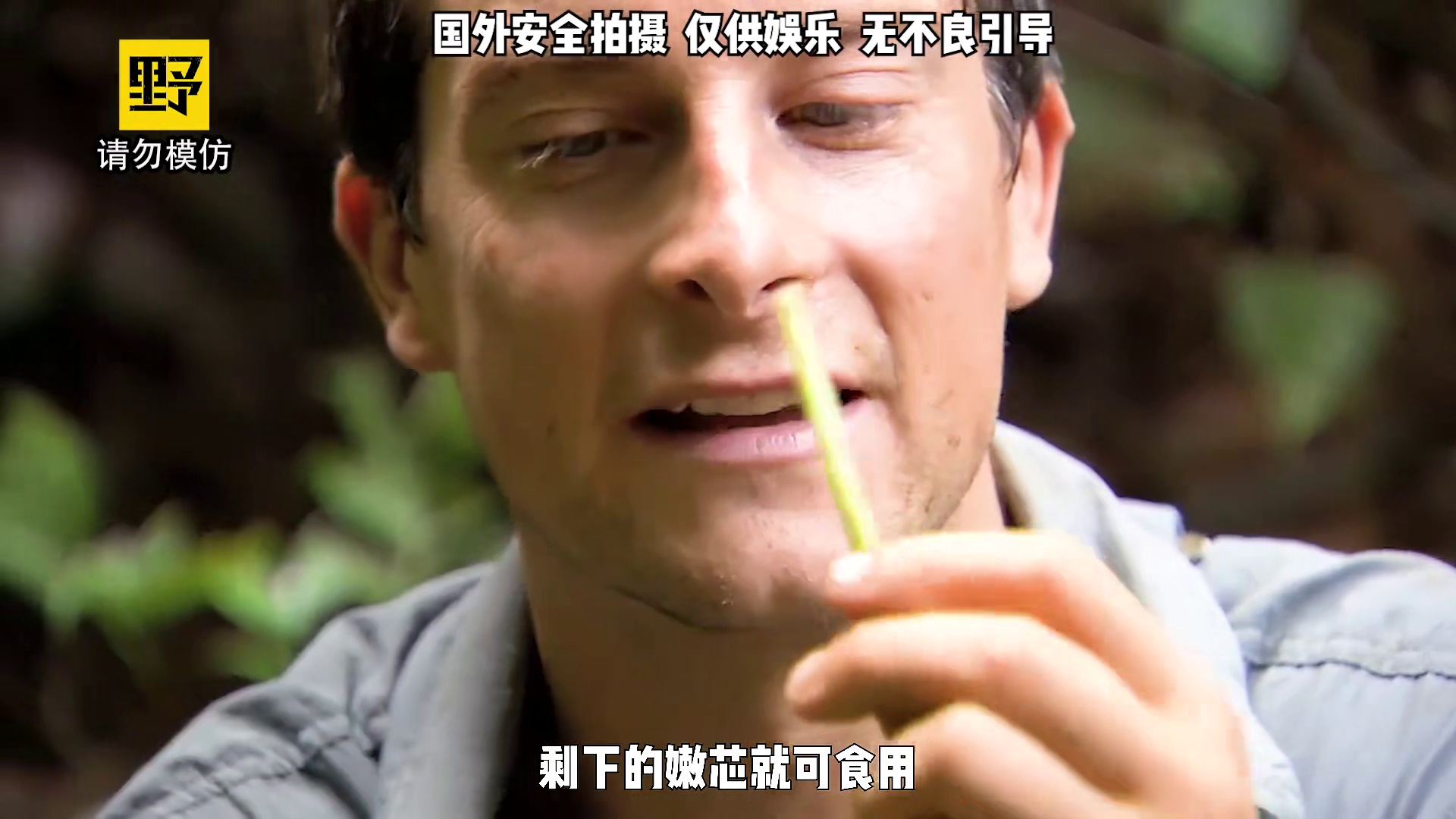 贝爷前往巴拿马丛林冒险，进入了古老的蝰蛇坑！