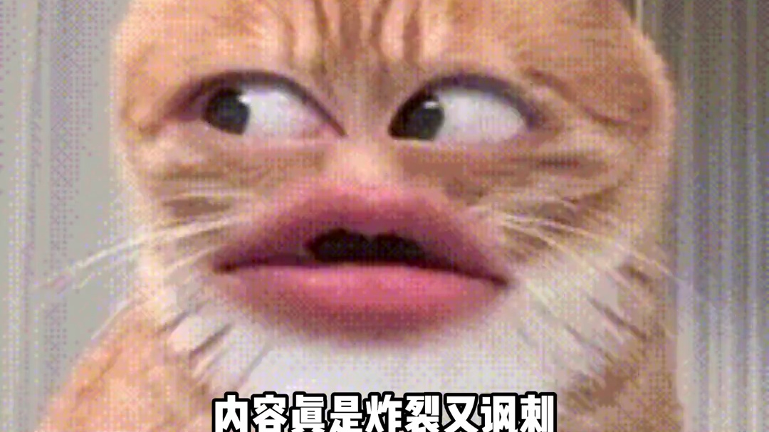 别惹文科生，小心给你写抹布文