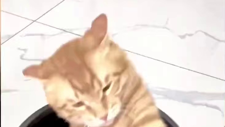 你是想撑死我吗？