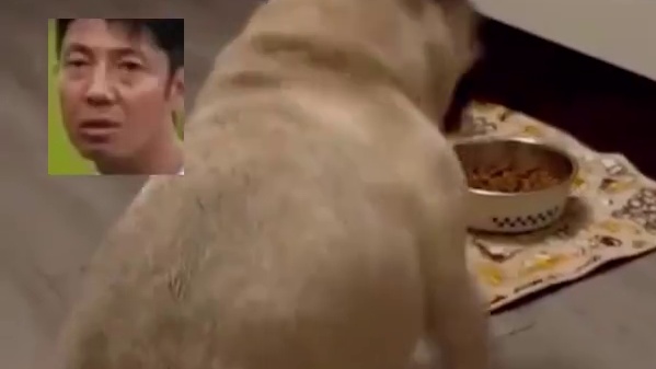 看似握手 实则锤人