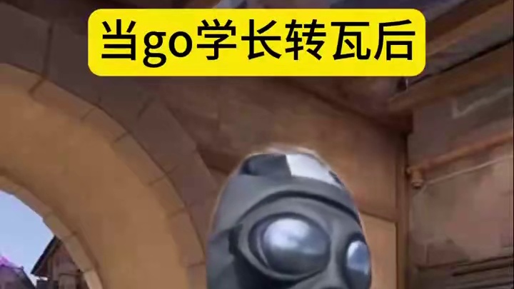 就这个把ak在瓦里没玩过