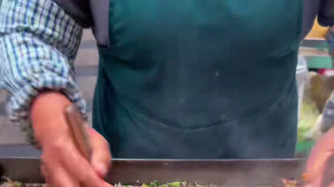 贵阳街头脆哨炒饭，米饭粒粒分明