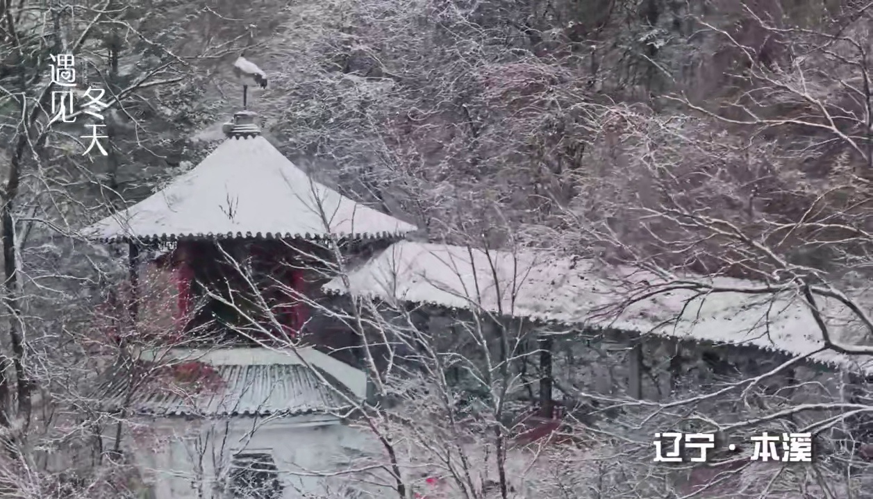 时光匆匆不回首，不知不觉已是冬。忙忙碌碌又一年，愿所有的困难都随着寒风而去，愿所有的努力，在这个季节