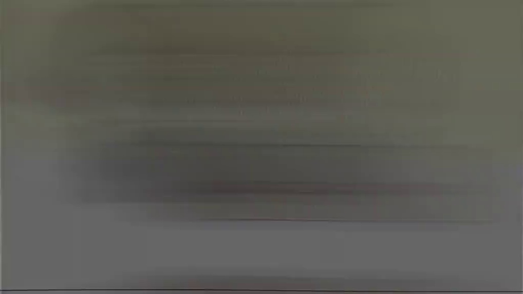 今天将由我们的蜂医干员来给大家表演个节目 洲宝来整活