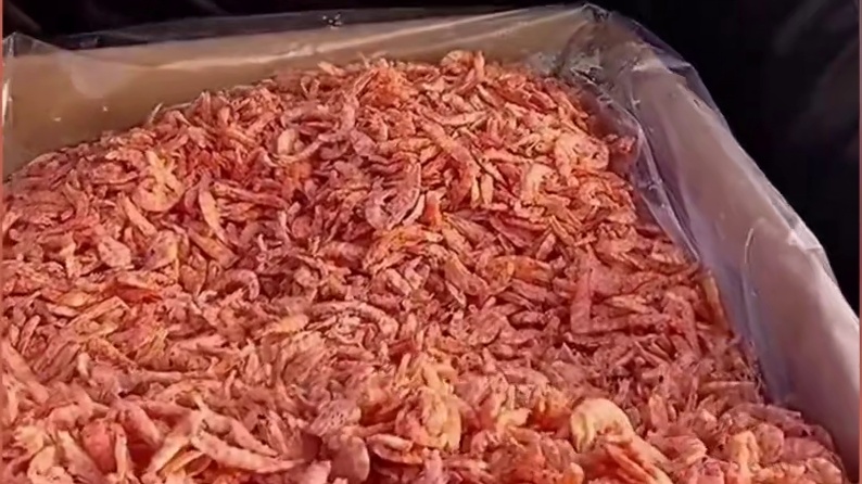 这是真实发生在海面上的离奇一幕……