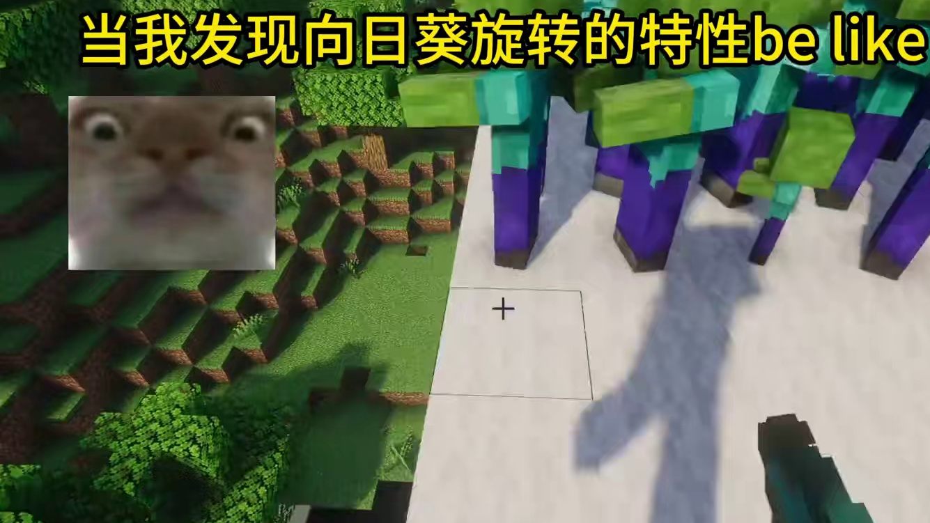 我的世界：当我发现向日葵旋转的特性be like