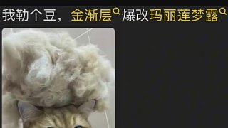 不是一家人不進一家門呢