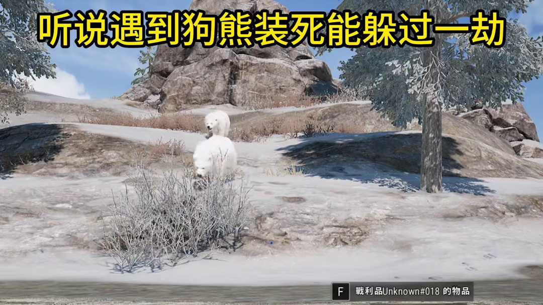 不是说遇到熊装死就行吗