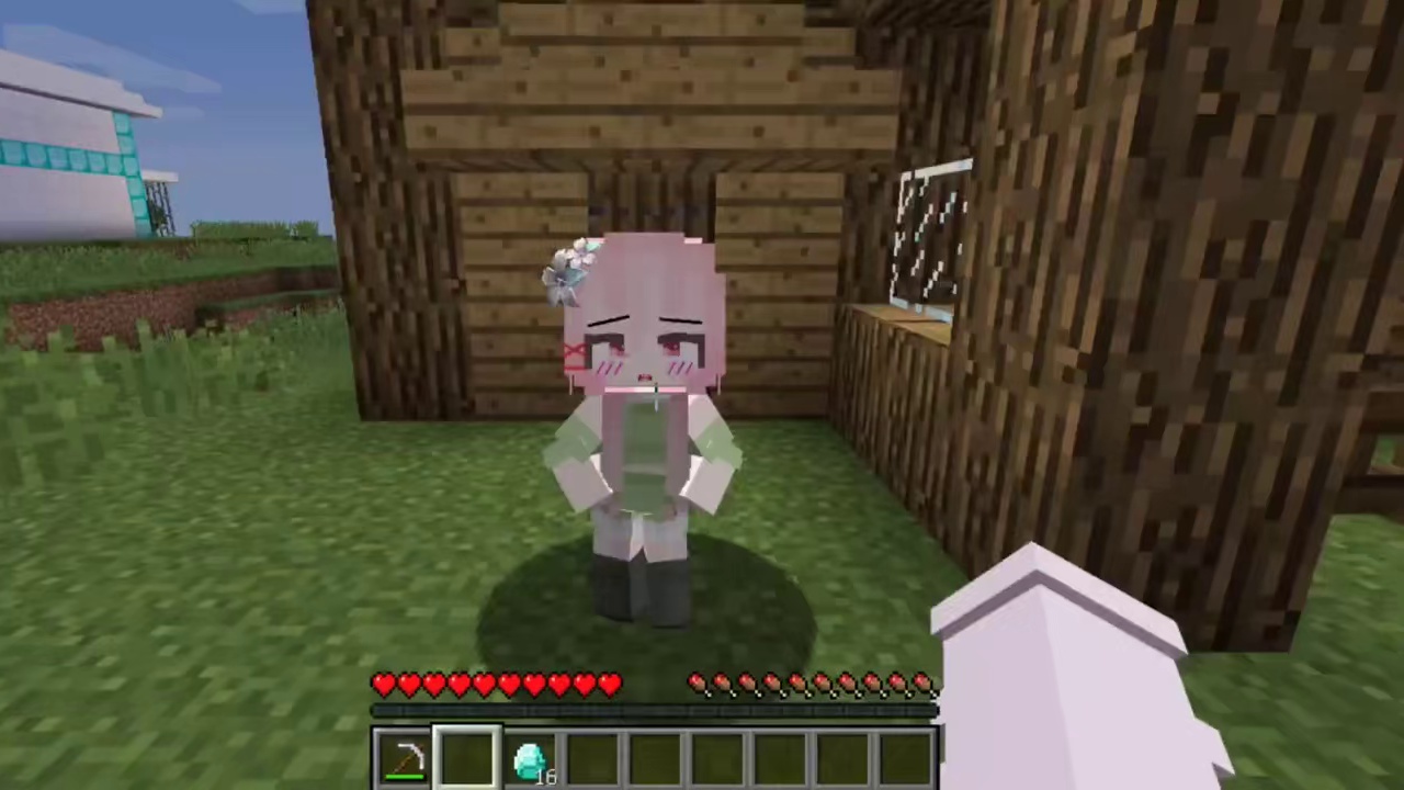 我的世界：给自己捡了个祖宗...