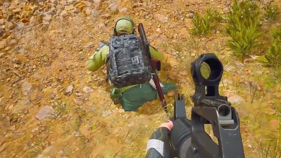 看见哈基蜂就想笑...