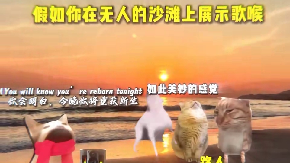 这是你想要的自由吗