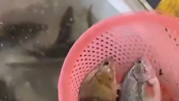 空军是不可能的，我自有手段