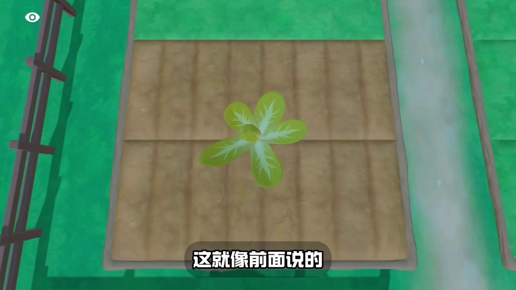 奇迹农场，超省空间的，大根茎摆放教程