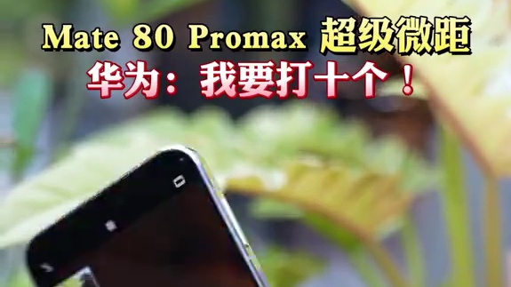 Mate 80Promax超级微距简直封神！！ 华为Mate