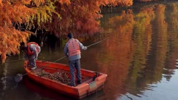 11.26实拍！南京燕雀湖的早高峰是从早晨6点开始的！ 地址与交通 具体位置：南京钟山风景区梅花谷