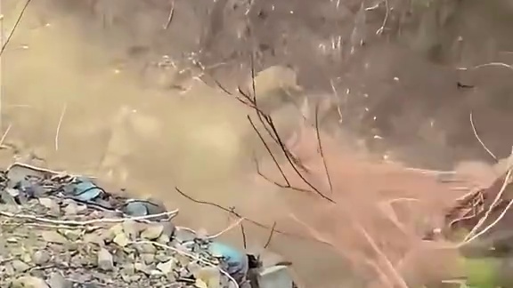 野猪泛滥，村民张网以待一锅端