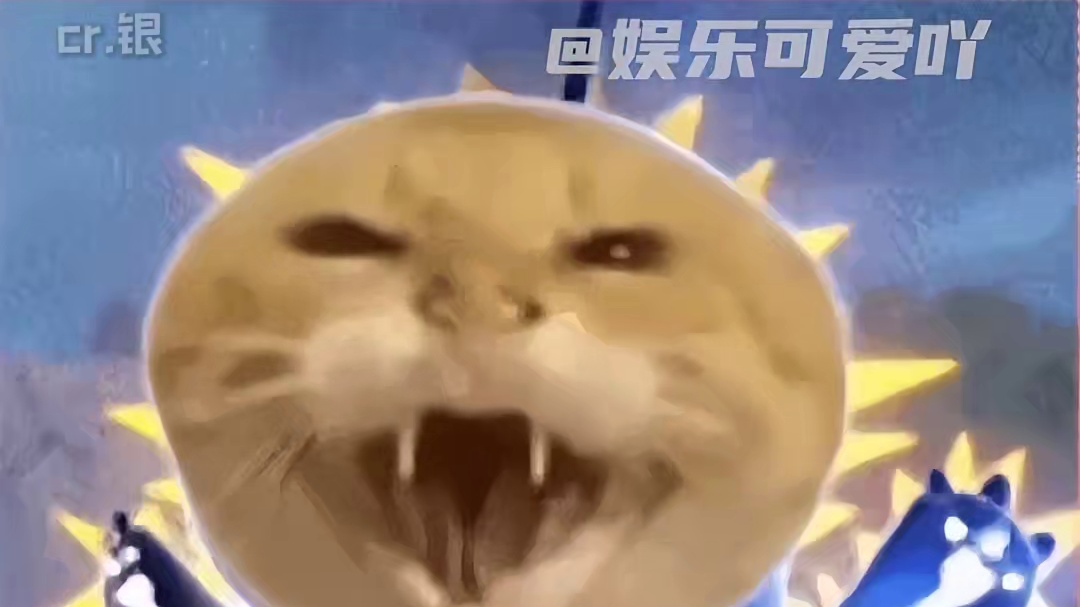 猫：以为遇上心软的神，没想到是“雷神”！