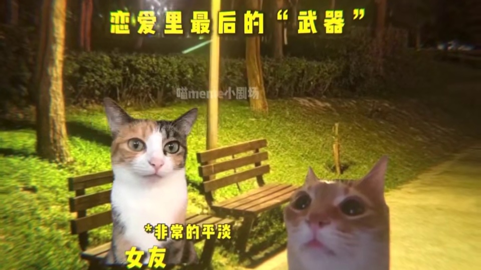 恋爱里最后的“武器”