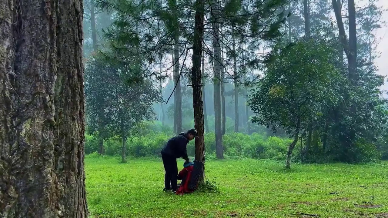 暴雨中露营，在森林里放松身心️暴雨中独自过夜露营